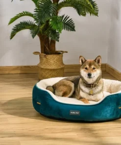 Dog Enrichment & Toys